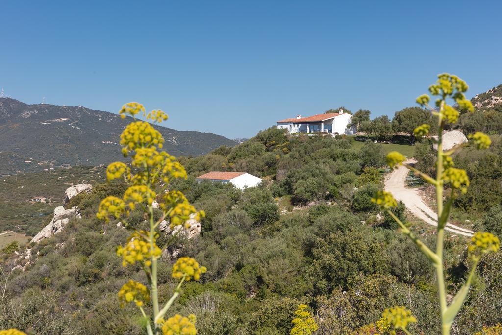 올비아 Agriturismo Cabu Abbas 빌라 외부 사진